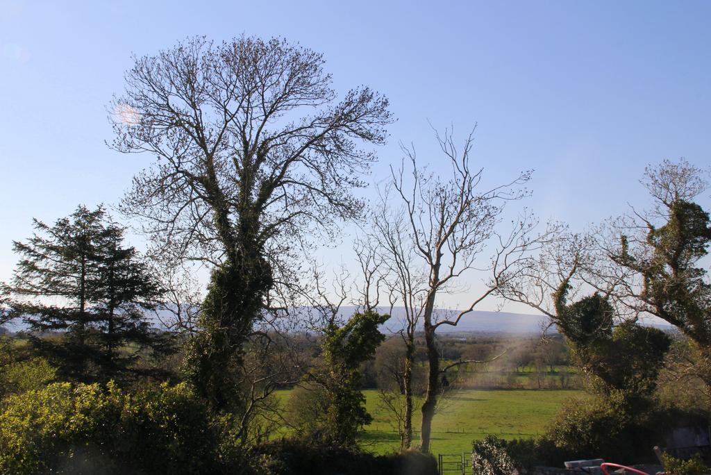 Woodview House Bed And Breakfast Ballinrobe Extérieur photo