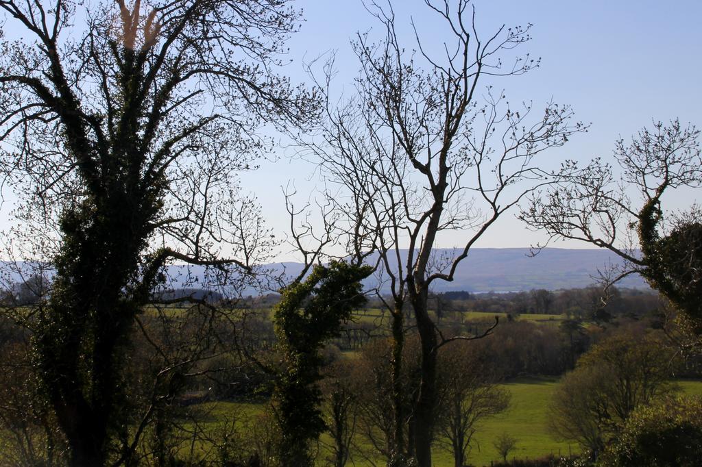 Woodview House Bed And Breakfast Ballinrobe Chambre photo